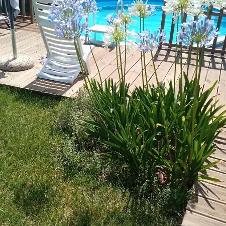 La Casa Di Nic Holiday home